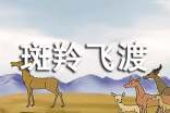 斑羚飞渡读后感(精选33篇)