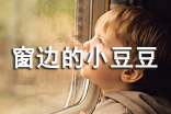 读窗边的小豆豆有感(精选50篇)