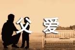 感悟父爱作文(精选37篇)