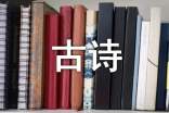 杨万里古诗《宿新市徐公店》诗意