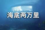 阿龙纳斯《海底两万里》读书笔记(通用34篇)