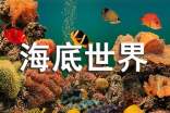 海底世界儿童画图案欣赏