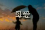 母爱的力量优秀作文(通用42篇)