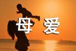 《母爱》阅读理解及答案