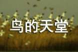 鸟的天堂作文(精选26篇)