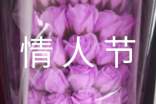 情人节酒店活动方案(精选20篇)