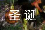 圣诞派对活动方案(通用14篇)
