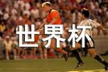世界杯的观后感(精选21篇)