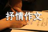 抒情作文(通用65篇)