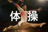 体操的快乐作文(精选21篇)