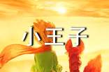 读《小王子》有感(精选39篇)