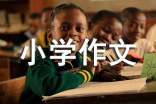 我的家小学作文(精选40篇)