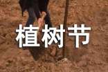 快乐植树节的作文(精选60篇)