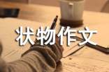 【精选】状物作文66篇
