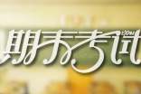期末考试总结小学作文(精选35篇)