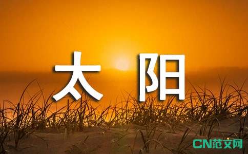 中班种太阳教案